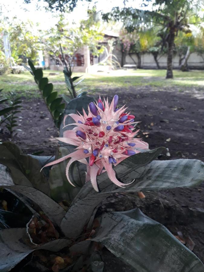 Refugio Das Bouganvillea Igarassu 外观 照片